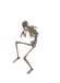 Avatar du membre